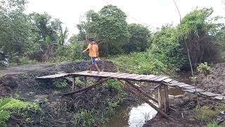 Download Lagu SERU! KEGIATAN KELUARGA WANI RANTAU BERKEBUN DAN BETERNAK DI KALIMANTAN MP3