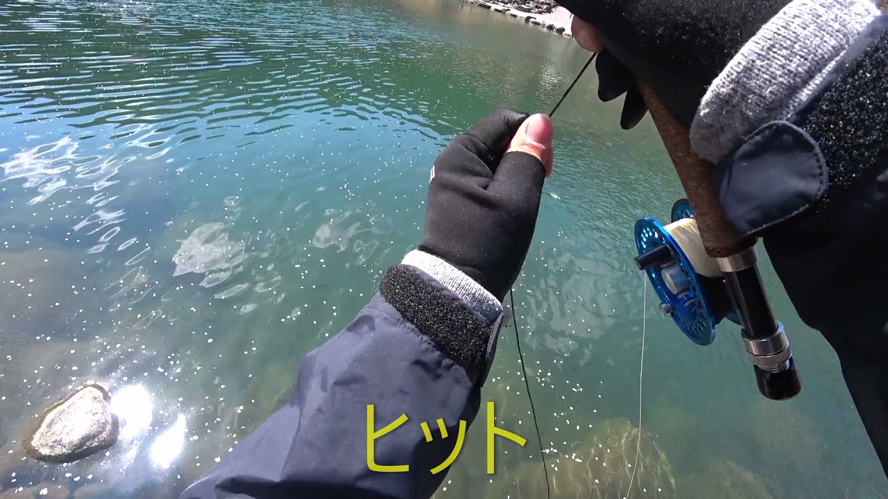 発光路(ほっこうじ)の森FA 2021年 4月上旬 フライフィッシング