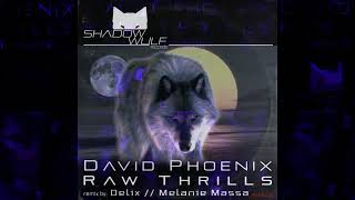 David Phoenix - Raw Thrills (Original Mix)