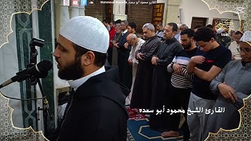 تلاوه خاشعه 40 | للقارئ الشيخ محمود أبو سعده الليله الرابعه عشر رمضان 1446