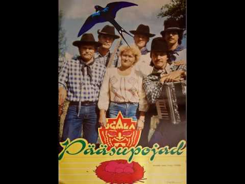 Pääsupojad - Aastaring
