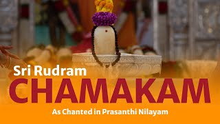 Sri Rudram - Chamakam with Lyrics & Meaning screenshot 5