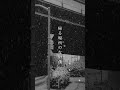 「真っ白な街」配信中🎧🎶