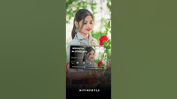 Ld dodwa New Timli status 2023 Jagdish Rathva New Timli status 2023 parul Rathva New Timli 2023