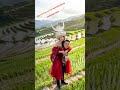 Niag Dej Dag- NuShiNaib Cover