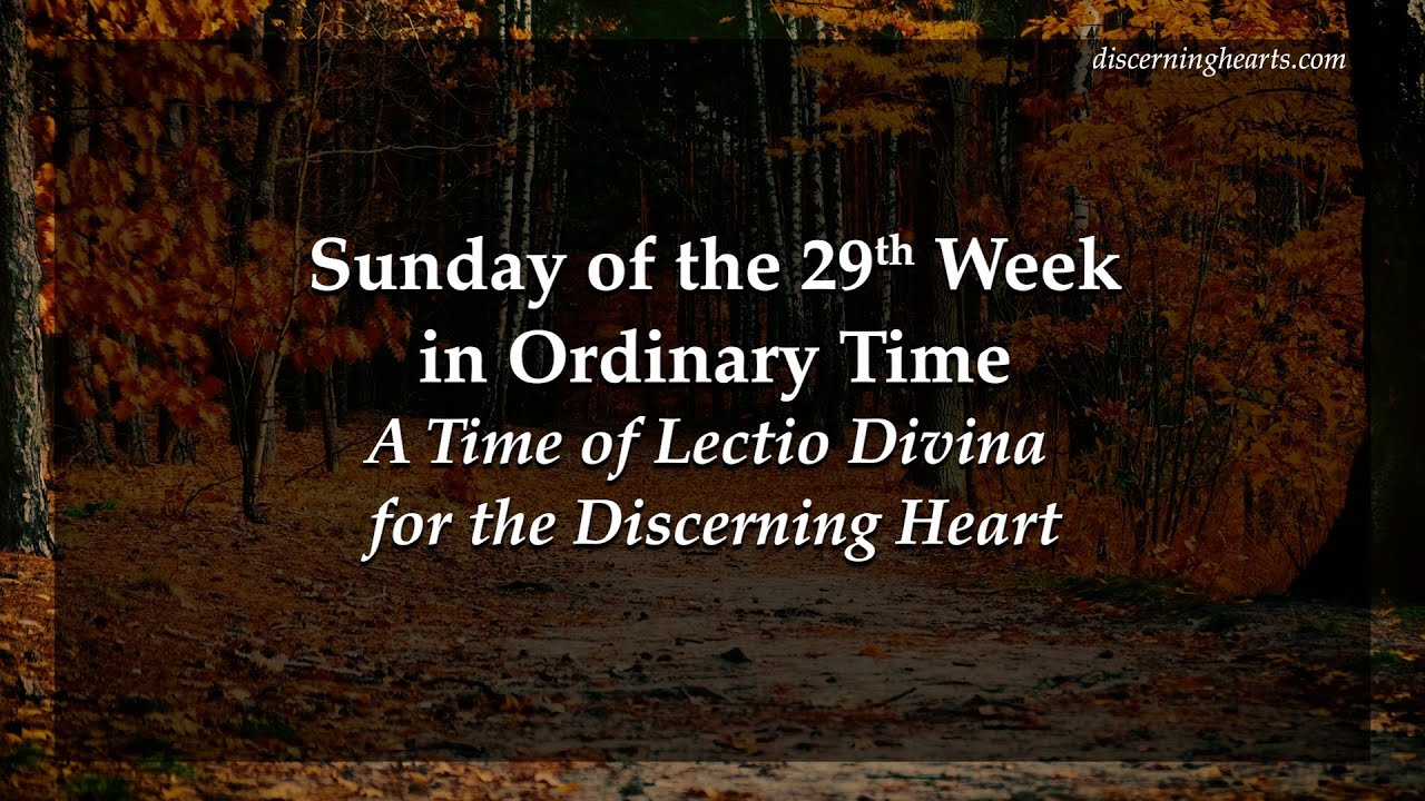 sunday-of-the-29th-week-in-ordinary-time-a-time-of-lectio-divina-for