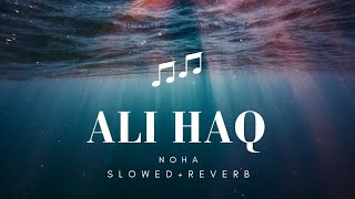 ALI HAQ | Noha Slowed and Reverb | Maula Ali Noha | #sherekhuda #haiderekarrar #yaalimadad
