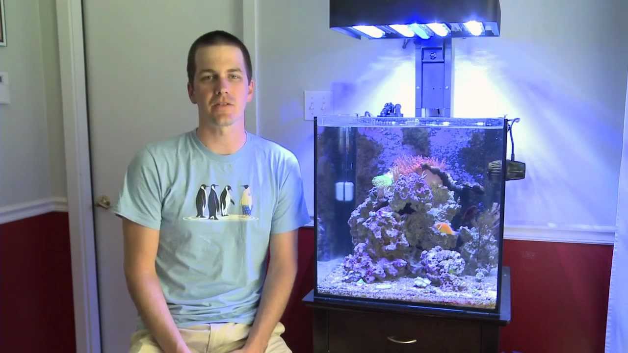 how to videos on tiktok Mr. Saltwater Tank TV Friday AM Quick Tip #42: Felt is So Last Year