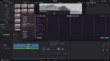 Transcode Video in Davinci