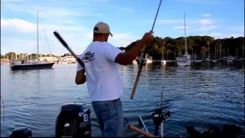 Fish Flash & Hammer time plus Slow Death!!! It