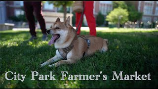 Denver City Park Farmer's Market