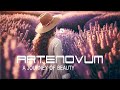 A Journey of Beauty by Artenovum -  a finest destination of South France