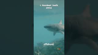 Top 5 Most Dangerous Beaches in the World!  #shorts #facts #shortvideo #worldfacts #interestingfacts