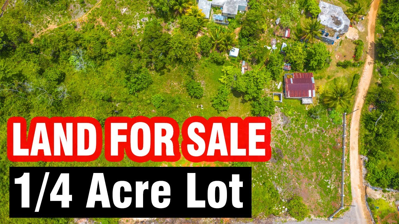 Affordable Land For Sale In Jamaica Make It Yours YouTube