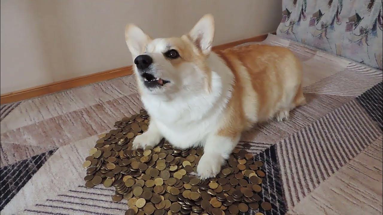 Корейко! - YouTube