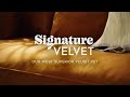 Signature Velvet: Our most superior velvet yet