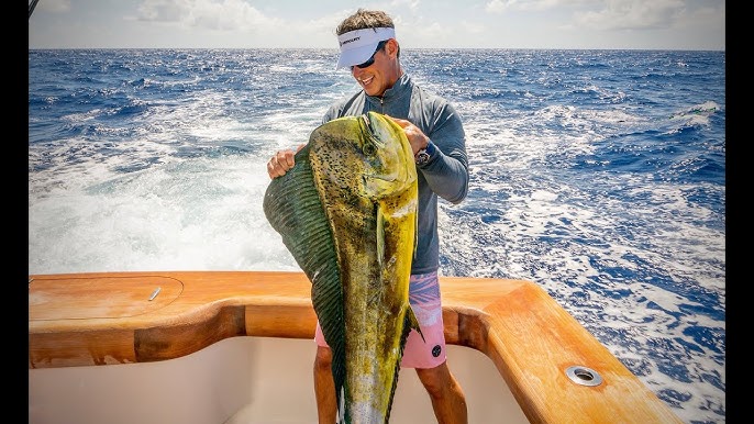 Sailfish, Shark and Tuna with Chris Jones from the Kansas City