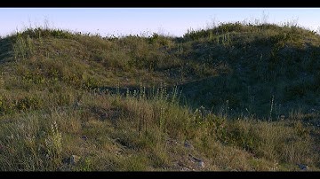 Creating plants using Megascans atlases in Cinema 4D and Octane [Part 2]