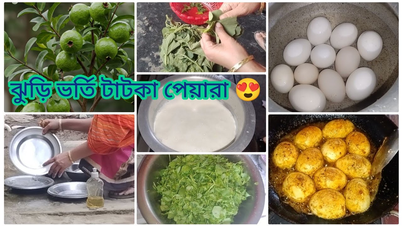 বাদুড়ের হাত থেকে রক্ষা পাওয়া মিষ্টি পেয়ারা! দেখুন কতগুলো পাড়লাম🍐🦇 ।। Assam village lifestyle ।।