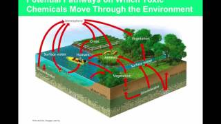 APES Chapter 14 Part 1