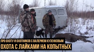 Охота  с лайками  на копытных / Про охоту и охотников с Валерием Кузенковым. Сезон 1