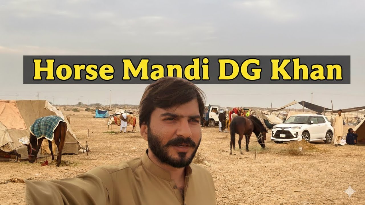 Horse Mandi DG Khan: Qeemat Aur Khoobsurat Ghore 💸