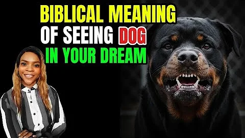 IF YOU SEE DOGS IN YOUR DREAMS, YOU MUST KNOW THIS (Very Important!)