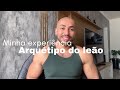 Arquétipo do Leão - Experiência