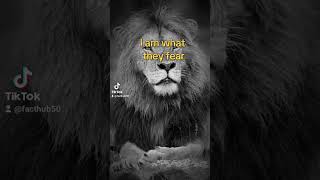 I am what they fear #selfawareness #warriorsmindset #mindset #brave  #courage #youtube #shorts #fyp
