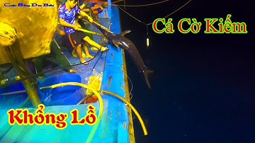 CÂU CÁ NGỪ ĐẠI DƯƠNG BIỂN HOÀNG SA 27║Câu Trúng Con Cá Cờ Kiếm Khổng Lồ,Bằng Tiền Cá Ngừ Đại Dương.