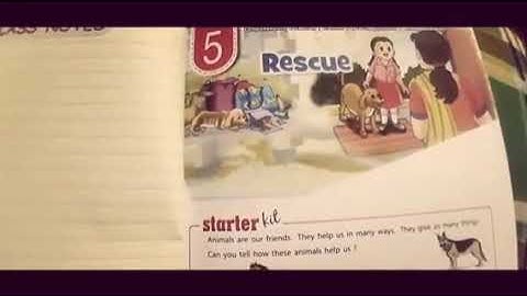 class 4th English chapter 5 Rescue