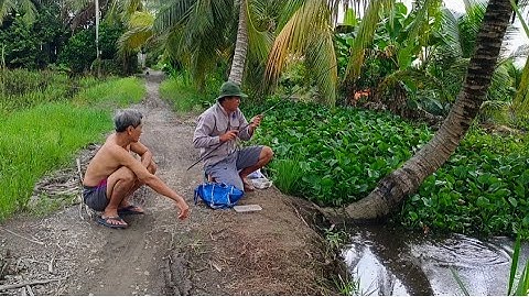 Câu cá ở con kênh nước đen xì vậy mà cá thác lác nhiều thấy nóng lạnh...