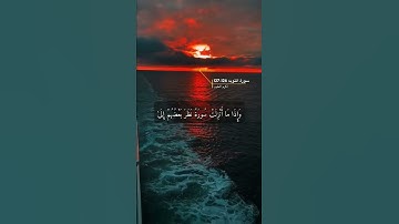 سورة التوبه الآيه 126-127