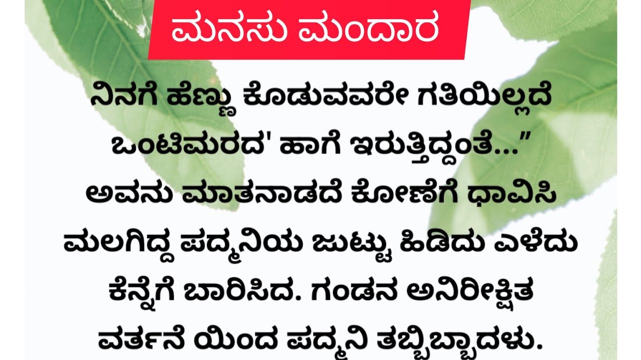 ಮನಸು ಮಂದಾರ ಅಧ್ಯಾಯ-12....