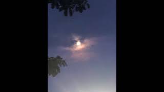 เจ้าชายนิทรา-ETC [cover] | Chino