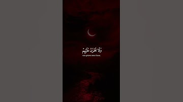 لا تمدن عينيك الى ما متعنا به ازواجا منهم | هزاع البلوشي | تلاوة هادئة ❤️