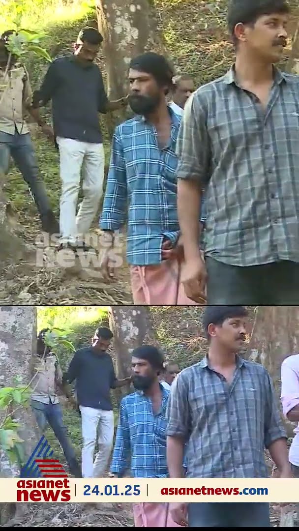 വയനാട് പഞ്ചാരക്കൊല്ലിയിൽ കടുവയെ പിടിക്കാൻ വനംവകുപ്പ് കൂട് സ്ഥാപിക്കുന്നു