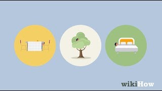 Celebrity The Best Spots for Hide and Seek Net Worth