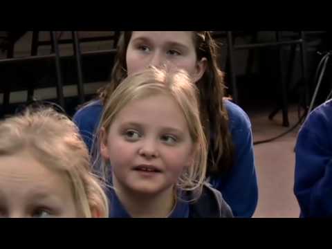Gifted and talented learners: making and sharing Literature Essayic