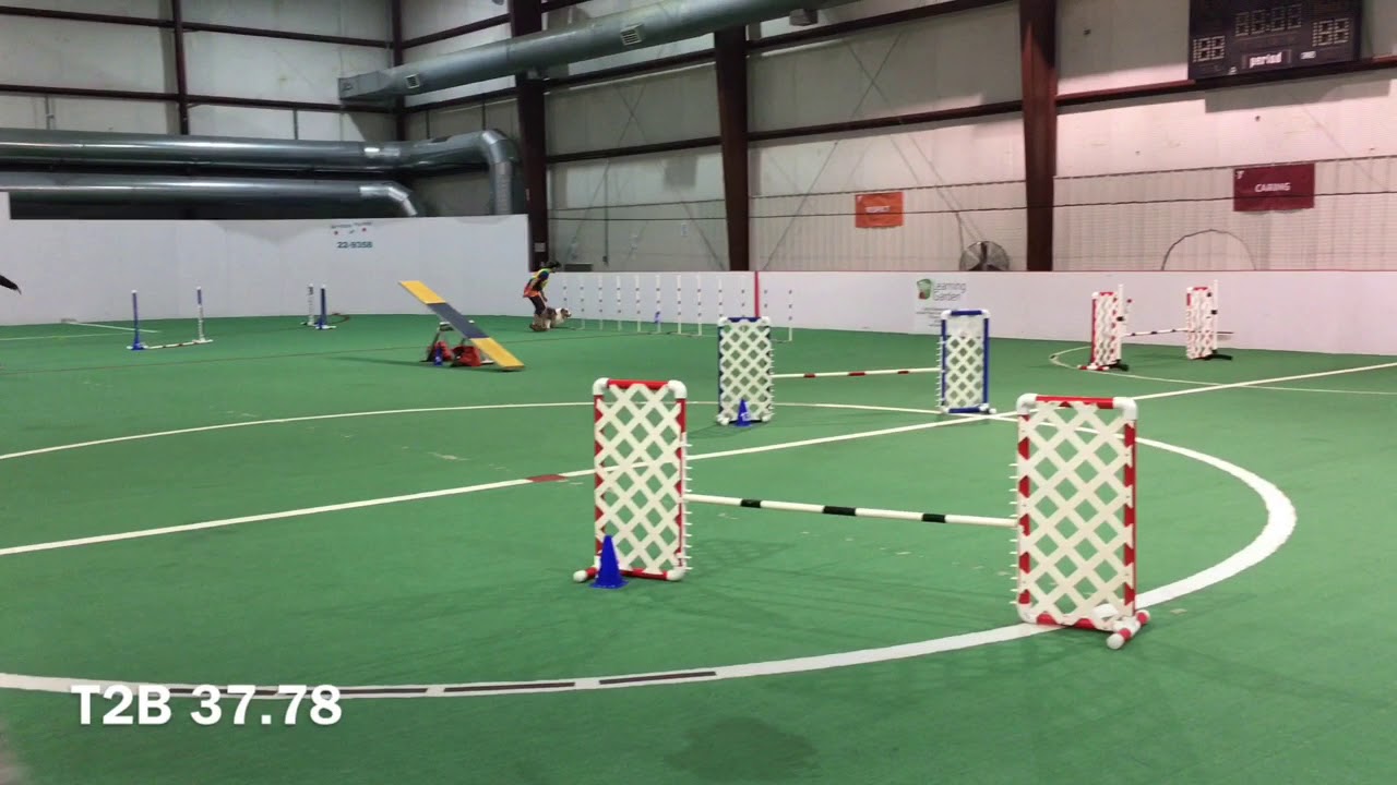 Derby City AgilityOct 2017 YouTube