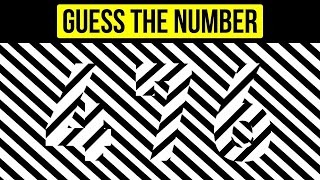 Optical Illusion Test | Guess The Hidden Number