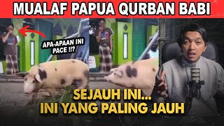 Mualaf di Papua Qurban Idul Adha Dengan Babi VIRAL !