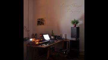 Pierre Mugat - PolyMoog