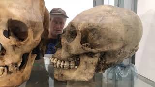 Paracas DNA Results  March 2019 Update