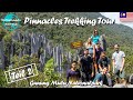 Mulu Nationalpark ∙ Auf zu den Pinnacles durch den Regenwald ∙ Teil 2 ∙ Borneo ∙ Weltreise Vlog #106