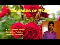 Diseases of Rose | Flower Crops | Plant Pathology | Exam Oriented Discussions
