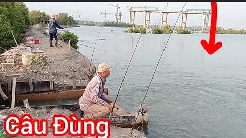 Câu Cá Tráp Mà Cá Căn Phá Quá || Câu Đêm với Cần Thủ Nữ/ Câu Đùng Mỹ Xuân Bà Rịa Vũng Tàu