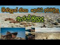 About Aral sea in sinhala | ඇරල් මුහුද | මිනිසුන් නිසා ලොවට අහිමිවූ ඇරල් මුහුද