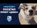 «Ротор» посетил приют «Дино»