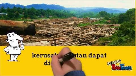 video ikd illegal logging